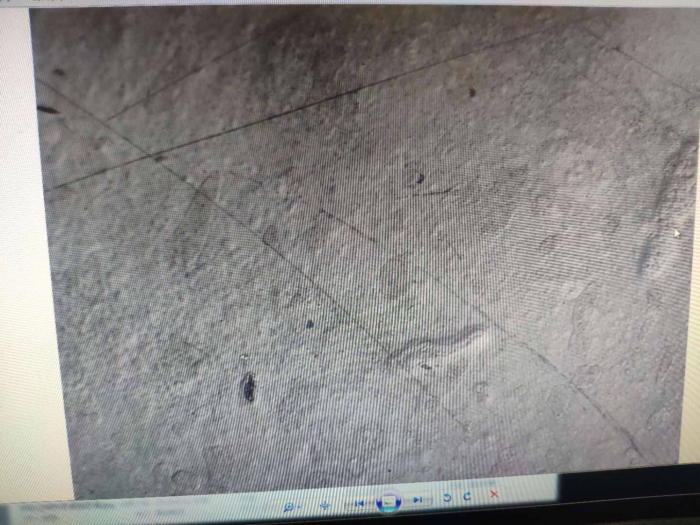 浸泡腐蝕液體前耐酸堿防腐漆顯微鏡下的微觀結構 浸泡腐蝕液體前耐酸堿防腐漆顯微鏡下的微觀結構